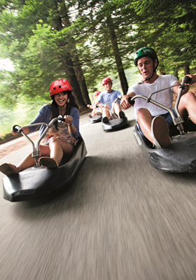 Luge Rotorua